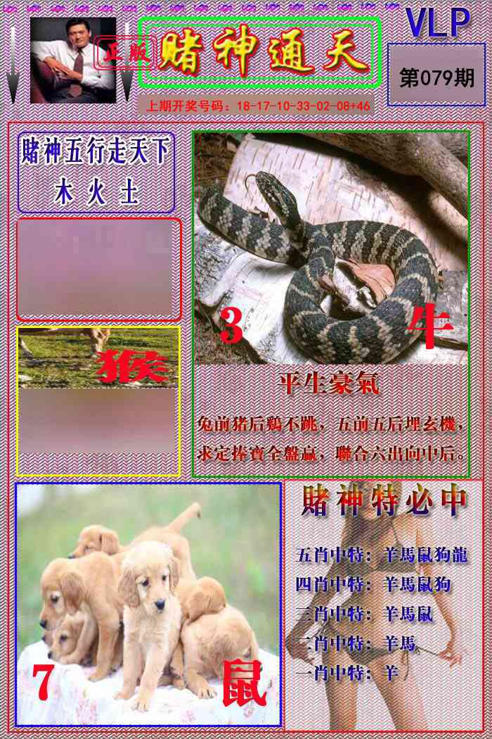 079期赌神通天报[图]